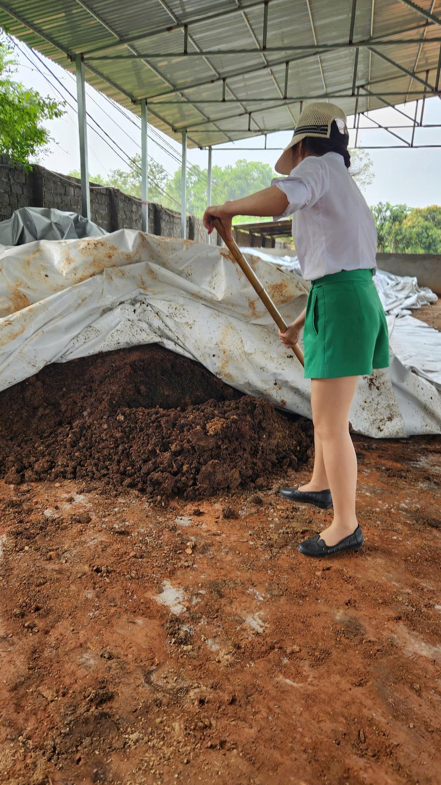 Xử lý phân, rác thải hữu cơ